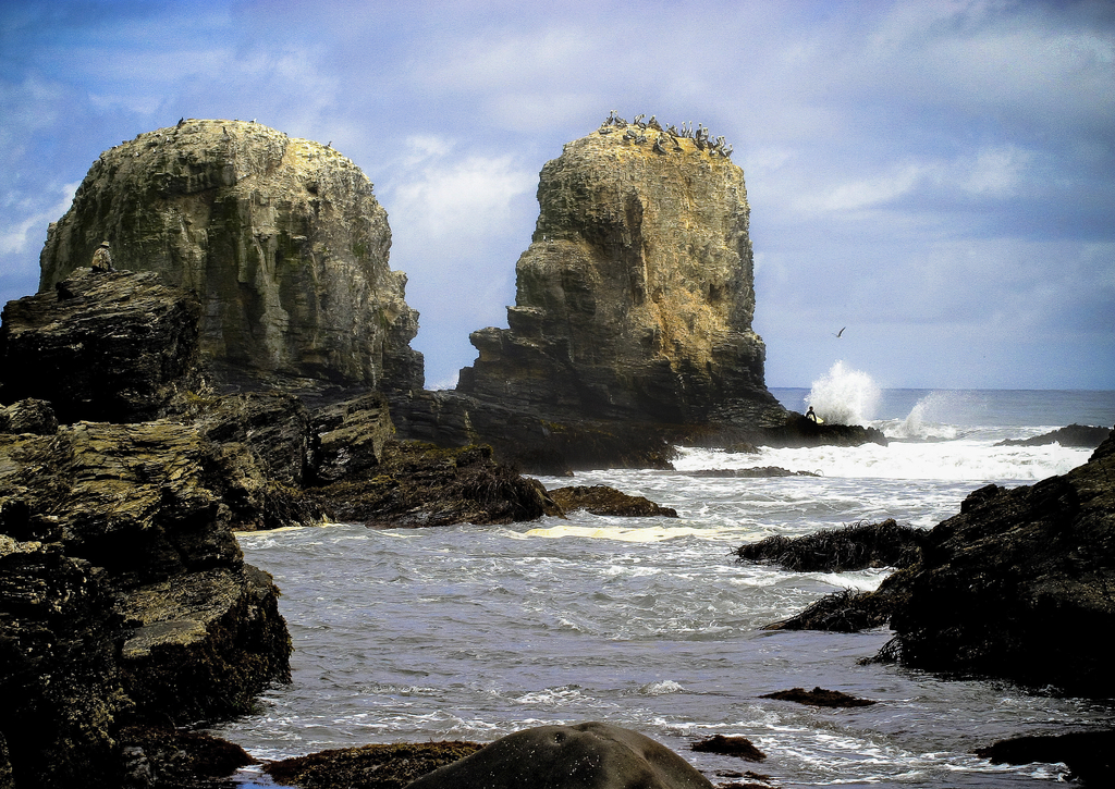Lais Puzzle - Punta Lobos - Pichilemu - Chile - 100, 200, 500 & 1.000 Teile p-224250