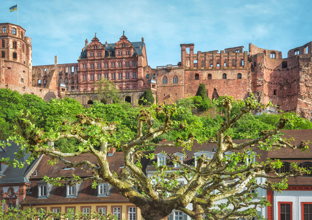 Lais Puzzle - Heidelberger Schloss - 1.000 Teile p-226755