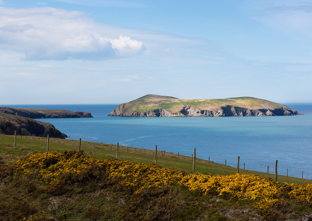 Lais Puzzle - Cardigan Island, Ceredigion, Wales - 100, 200, 500 & 1.000 Teile p-228142