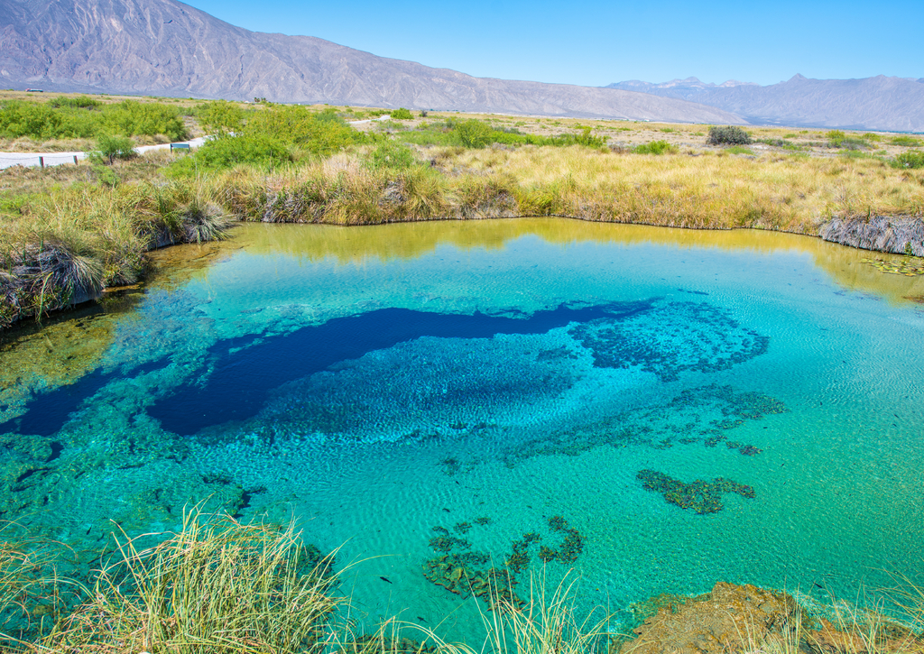 Lais Puzzle - Farbenfrohe Poza azul in Cuatrocienegas, Coahuila, Mexiko - 100, 200, 500 & 1.000 Teile p-230562