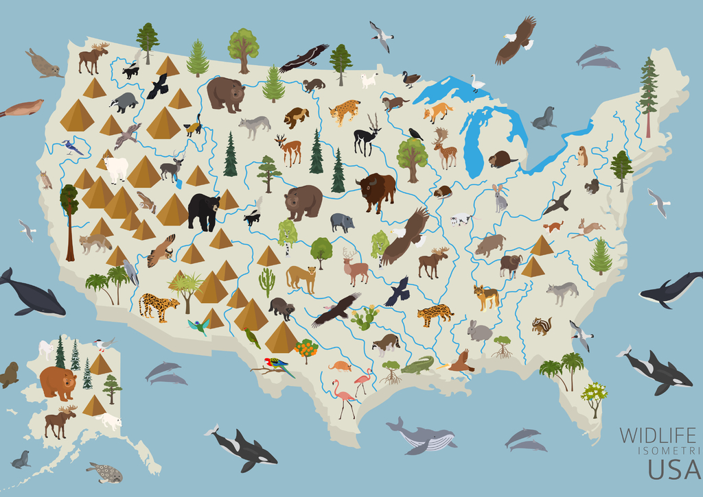 Lais Puzzle - Tierleben der USA - 100, 200, 500 & 1.000 Teile p-232953