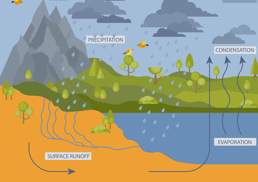 Lais Puzzle - Wasserzyklus - 100, 200, 500 & 1.000 Teile p-233058
