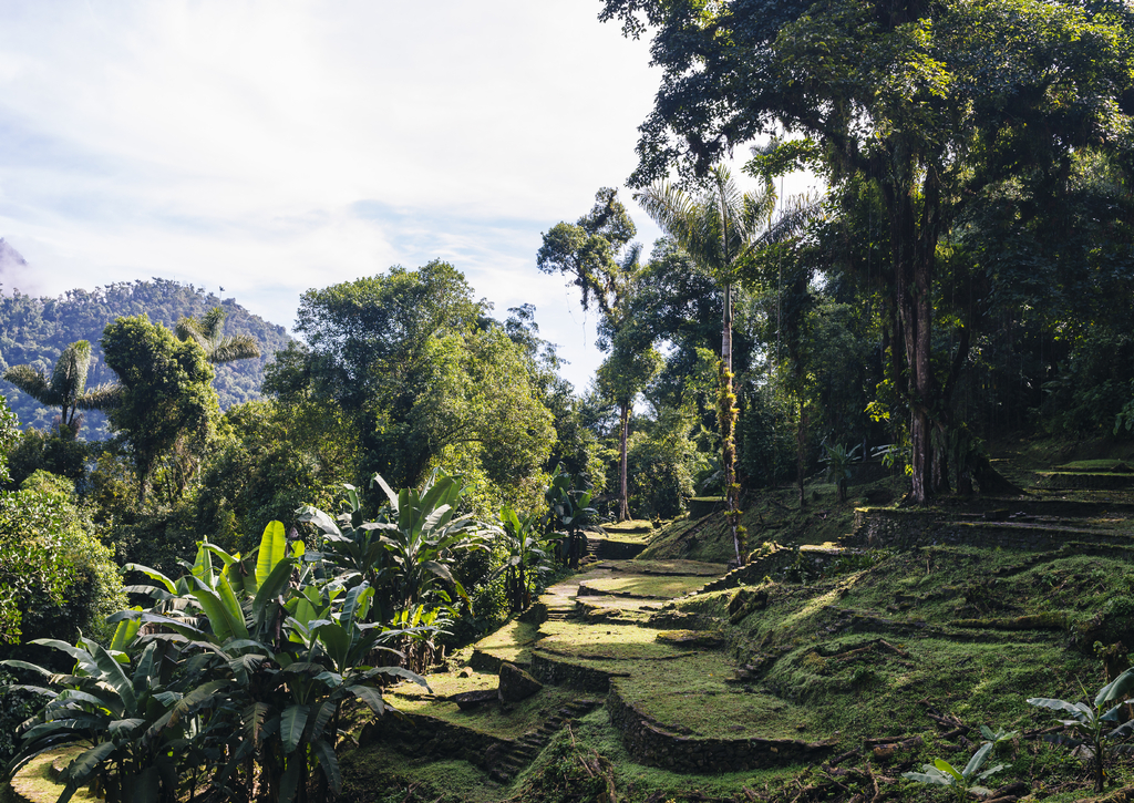 Lais Puzzle - Terrassen der verlorenen Stadt (Ciudad Perdida) in der Sierra Nevada de Sante Marta - Santa Marta/ Magdalena/ Kolumbien - 100, 200, 500 & 1.000 Teile p-233983