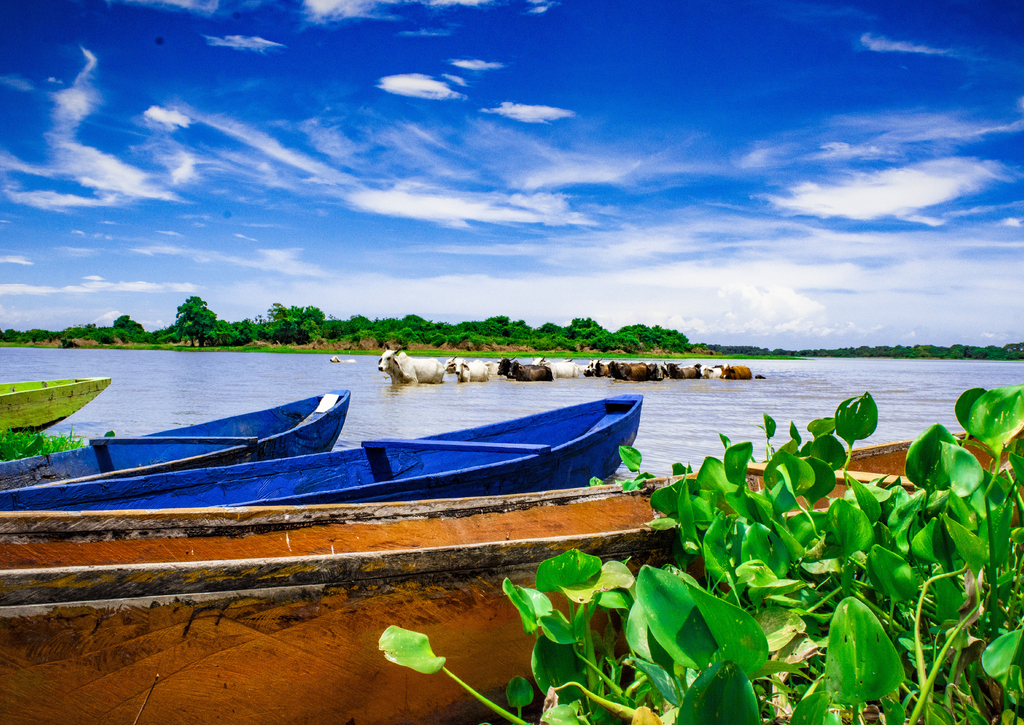 Lais Puzzle - See in Chimichagua Cesar Kolumbien - 100, 200, 500 & 1.000 Teile p-233993