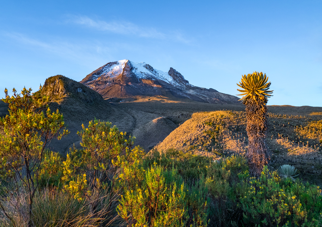 Lais Puzzle - Vulkan Tolima im Los Nevados National Park mit üppiger Vegetation frailejones (Espeletia), Kolumbien - 100, 200, 500 & 1.000 Teile p-234013
