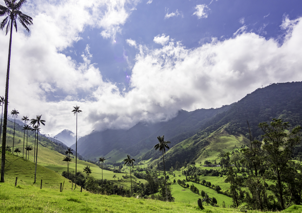 Lais Puzzle - Schöne Tageswanderung Landschaft von Valle del Cocora in Salento, Kolumbien - 100, 200, 500 & 1.000 Teile p-234138