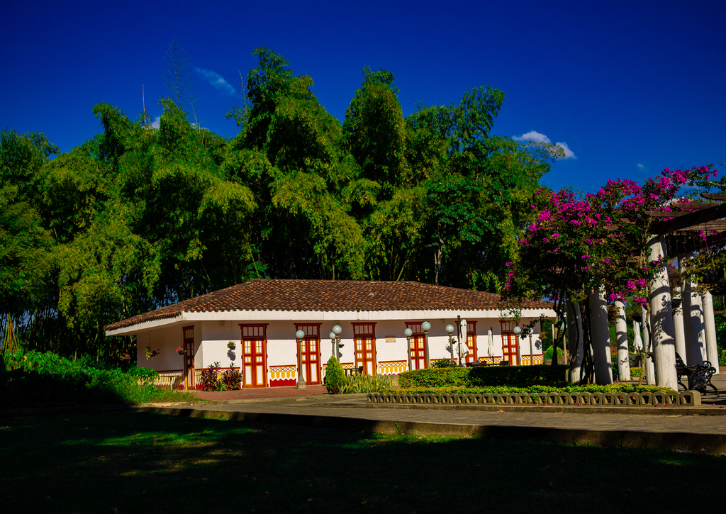 Lais Puzzle - Eje Cafetero Landschaft Kolumbien Biodiversität Guadual Wald Quindio Armenia Pereira Kolumbien - 100, 200, 500 & 1.000 Teile p-234778