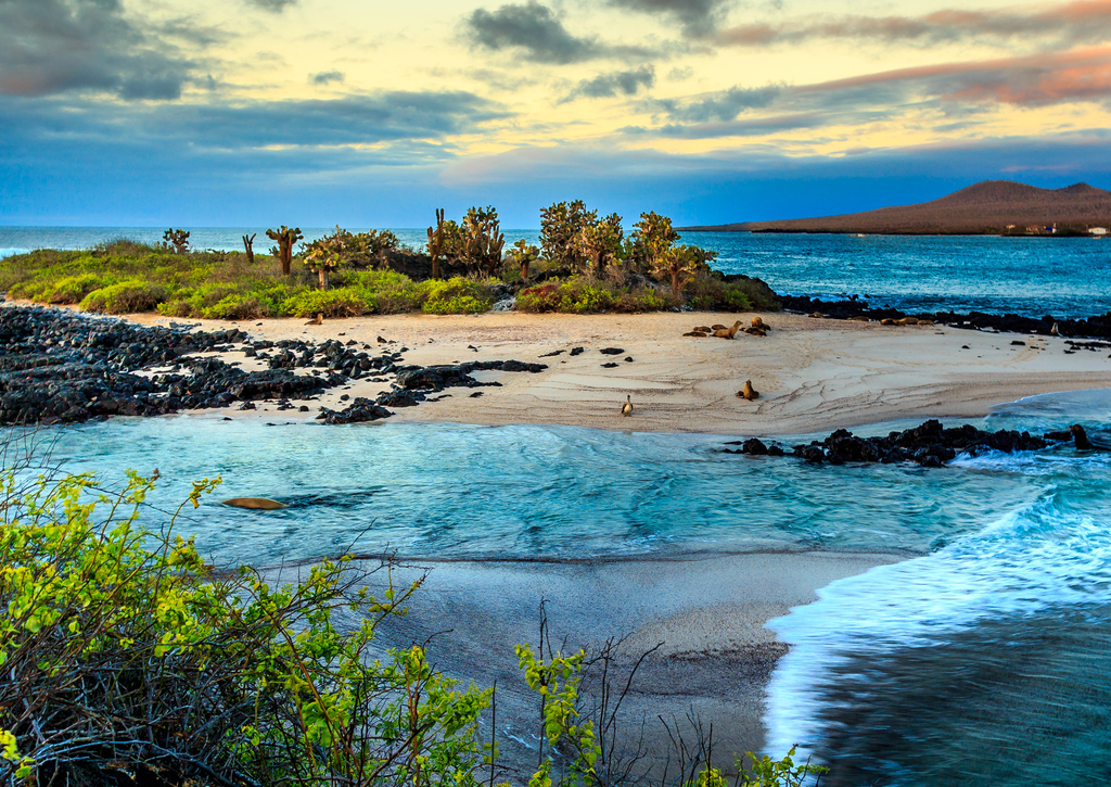 Lais Puzzle - Galapagos-Inseln, Ecuador - 100, 200, 500 & 1.000 Teile p-235663