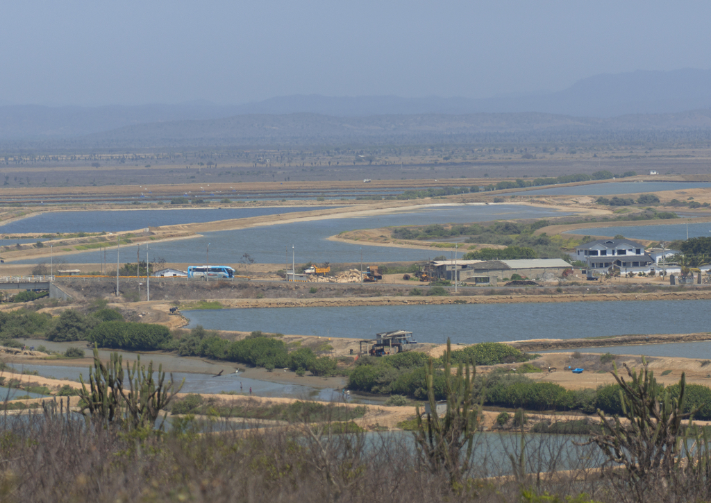 Lais Puzzle - Garnelenproduktion, Ecuador - 100, 200, 500 & 1.000 Teile p-236268