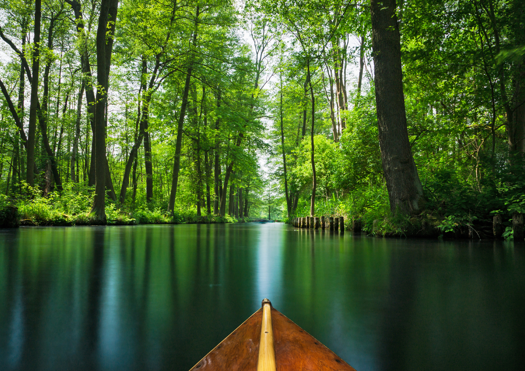 Lais Puzzle - Blick auf den Spreewald - Spree Wald, Deutschland - 100, 200, 500 & 1.000 Teile p-237403