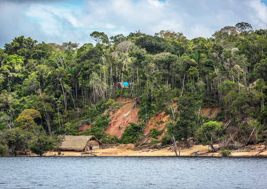 Lais Puzzle - Ein Abholzungsgebiet am Rande des Amazonas mit einem traditionellen indigenen Haus im Bundesstaat Amazonas in Brasilien - 100, 200, 500 & 1.000 Teile p-238498