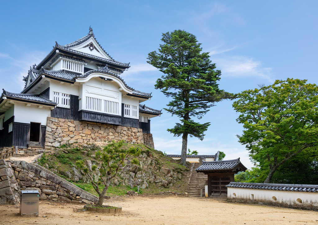 Lais Puzzle - Bitchu Matsuyama Schloss, Japan - 100, 200, 500 & 1.000 Teile p-242608