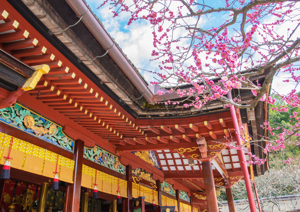 Lais Puzzle - Dazaifu Tenmangu, Hakata, Japan - 100, 200, 500 & 1.000 Teile p-243408