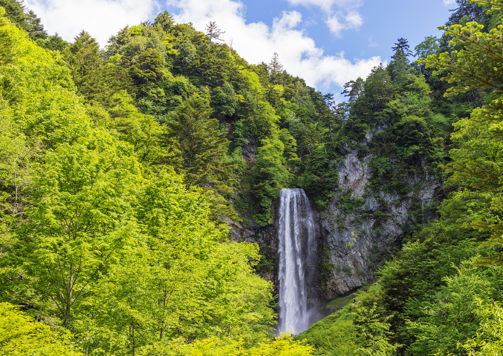 Lais Puzzle - Hirayu Wasserfälle, Gifu, Honshu, Japan - 100, 200, 500 & 1.000 Teile p-243738
