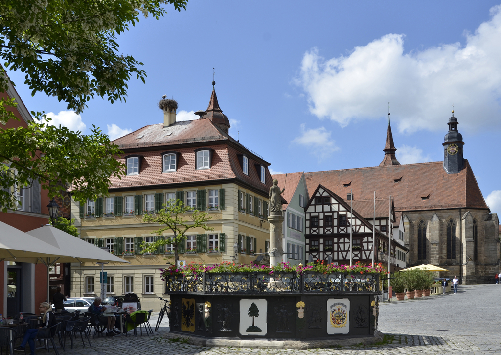 Lais Puzzle - Brunnen i.d. Altstadt von Feuchtwangen - 100, 200, 500 & 1.000 Teile p-255512