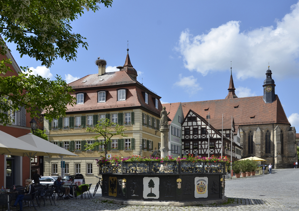 Lais Puzzle - Brunnen i.d. Altstadt von Feuchtwangen - 1.000 Teile p-255515