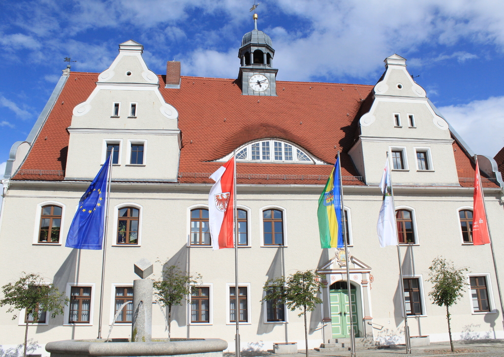 Lais Puzzle - Rathaus in Doberlug-Kirchhain - 100, 200, 500 & 1.000 Teile p-255532