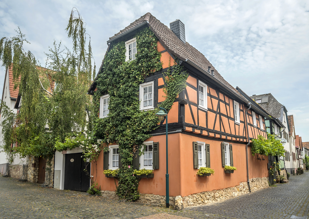 Lais Puzzle - Historische Altstadt von Hochheim am Main - 100, 200, 500 & 1.000 Teile p-255937