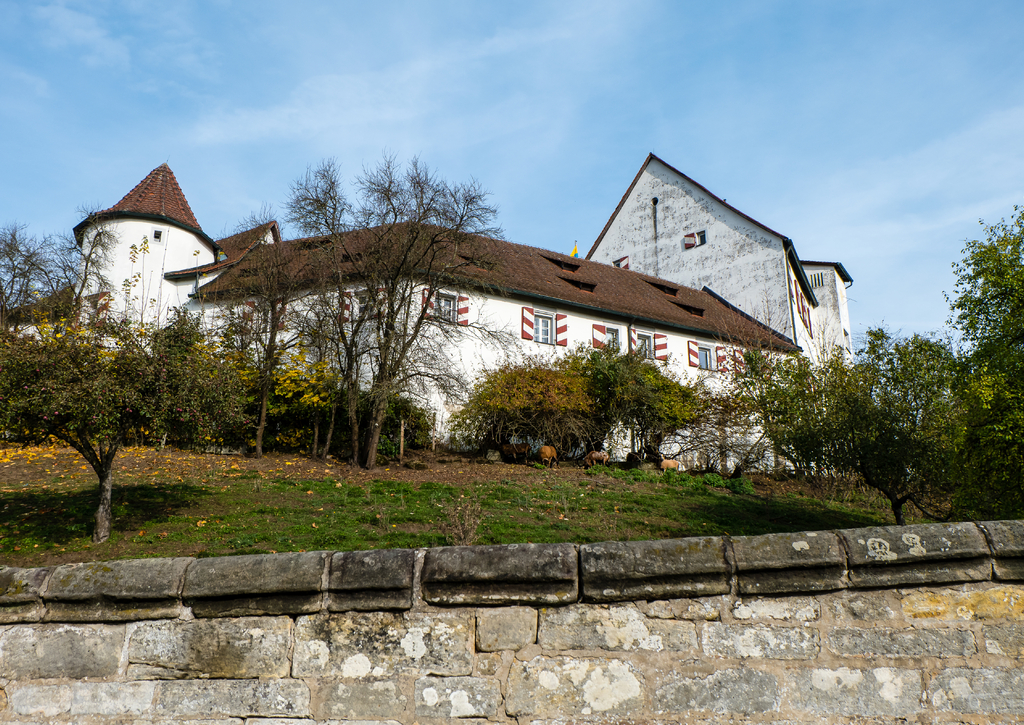 Lais Puzzle - Schloss Henfenfeld - 100, 200, 500 & 1.000 Teile p-256042