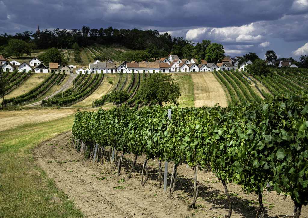 Lais Puzzle - Kellergasse Mistelbach - 100, 200, 500 & 1.000 Teile p-257627