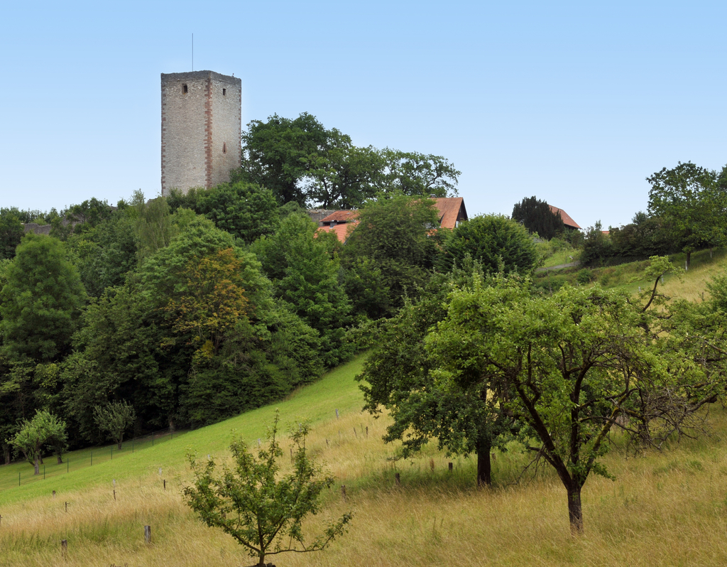 Lais Puzzle - Burg Greene in Niedersachsen - 40, 100, 200, 500 & 1.000 Teile p-262846
