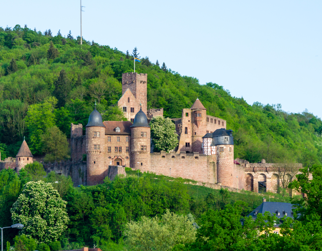 Lais Puzzle - Burg Wertheim - 40, 100, 200, 500 & 1.000 Teile p-263134