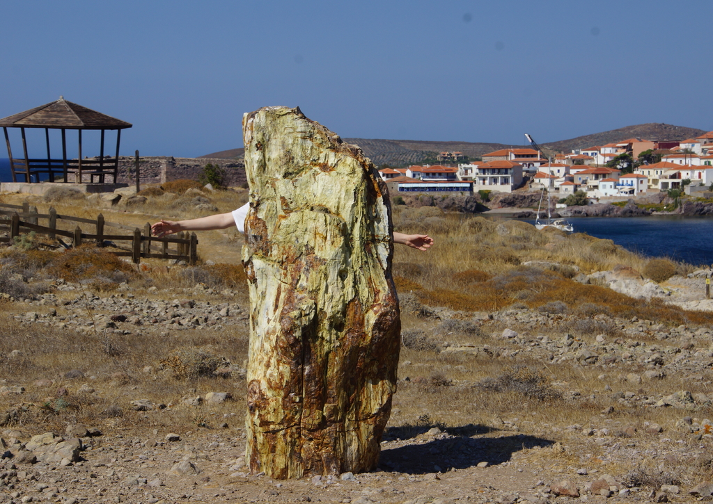 Lais Puzzle - Perifizierte Bäume auf Lesbos, Griechenland - 100, 200, 500 & 1.000 Teile p-267206