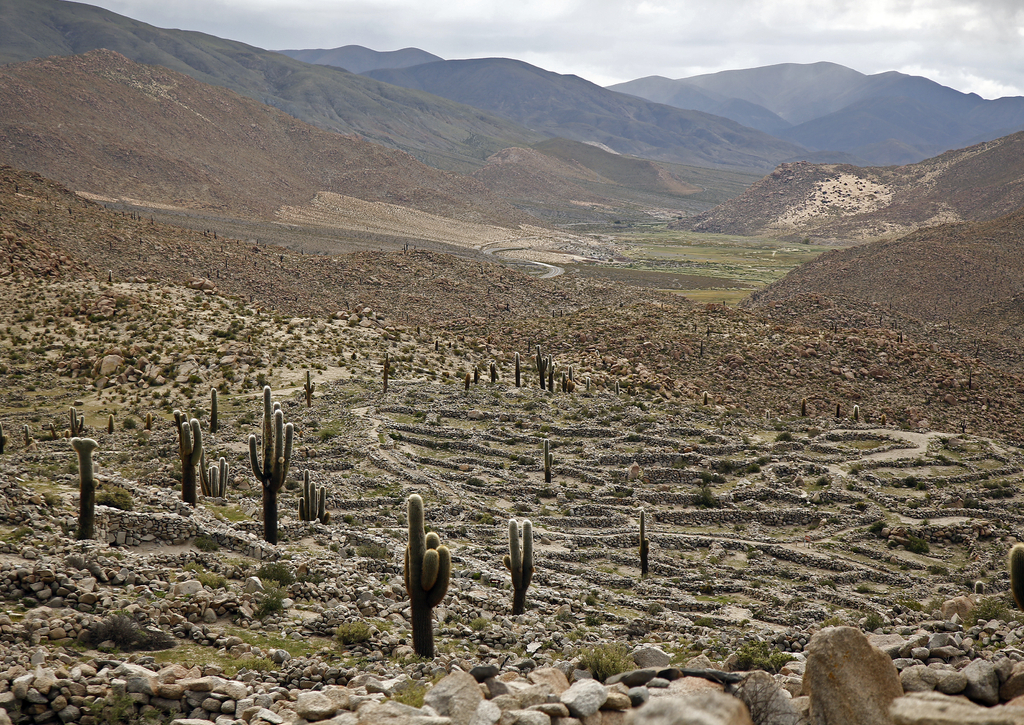Lais Puzzle - Präkolumbianische Ruinen (Ruinas de Tastil) in der Puna, Salta, Argentinien - 100, 200, 500, 1.000 & 2.000 Teile p-267971