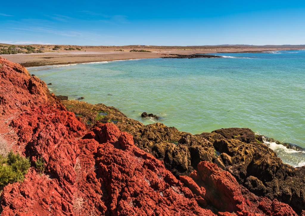 Lais Puzzle - Meeresküstenlandschaft von Punta Tombo, Patagonien, Argentinien - 100, 200, 500, 1.000 & 2.000 Teile p-268106