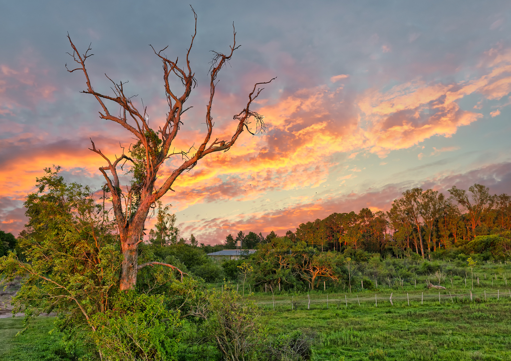 Lais Puzzle - Feuchtgebiete im Naturschutzgebiet Nationalpark Esteros del Ibera, Colonia Carlos Pellegrini, Corrientes, Argentinien - 100, 200, 500, 1.000 & 2.000 Teile p-269181