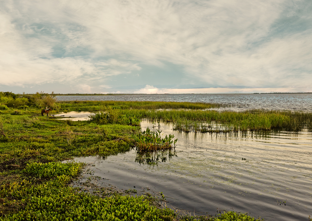 Lais Puzzle - Feuchtgebiete im Naturschutzgebiet Esteros del Ibera National Park, Colonia Carlos Pellegrini, Corrientes, Argentinien - 100, 200, 500, 1.000 & 2.000 Teile p-269201