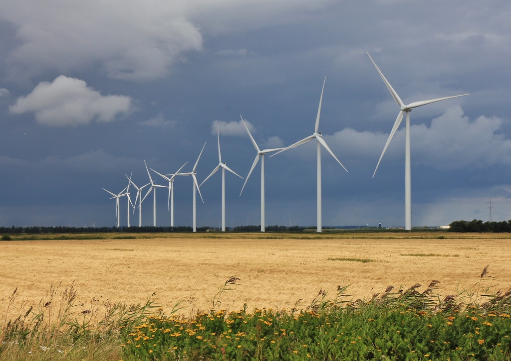 Lais Puzzle - Windpark bei Thisted, Dänemark - 100, 200, 500 & 1.000 Teile p-270841