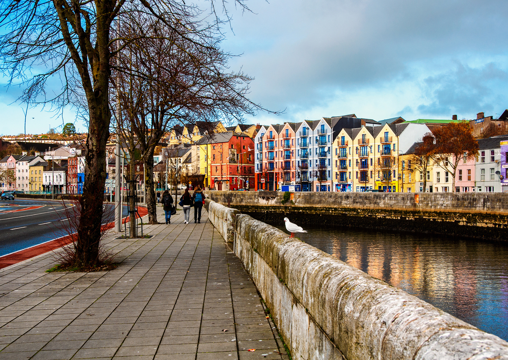 Lais Puzzle - Ufer des Flusses Lee in Cork, Irland - 100, 200, 500 & 1.000 Teile p-272256