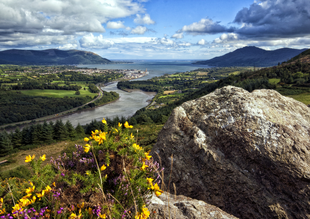 Lais Puzzle - Carlingford lough vom Aussichtspunkt Flagstaff. Grafschaften Armagh, Down und Louth, Irland - 100, 200, 500 & 1.000 Teile p-272986