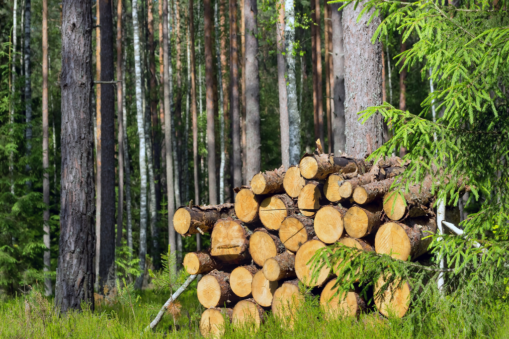 Lais Puzzle - Holzhaufen - 2.000 Teile p-273704