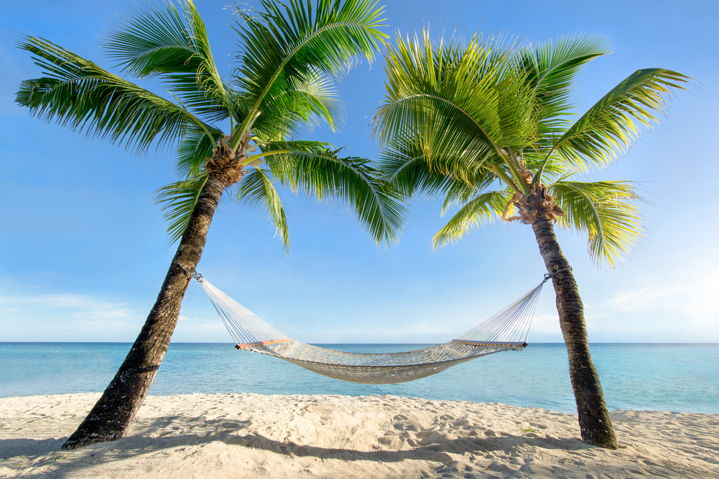 Lais Puzzle - Urlaub am Palmenstrand in der Karibik mit Hängematte - 2.000 Teile p-274349