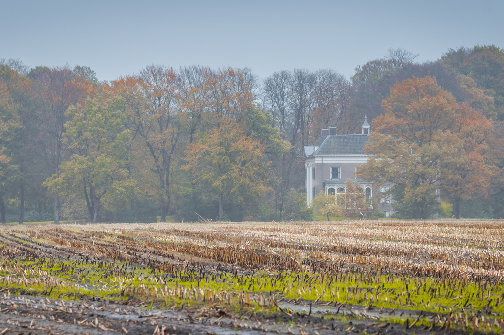 Lais Puzzle - Herrenhaus von Estate Dickninge zwischen Bäumen in Herbstfarben in De Wolden, Drenthe, Niederlande - 2.000 Teile p-275827