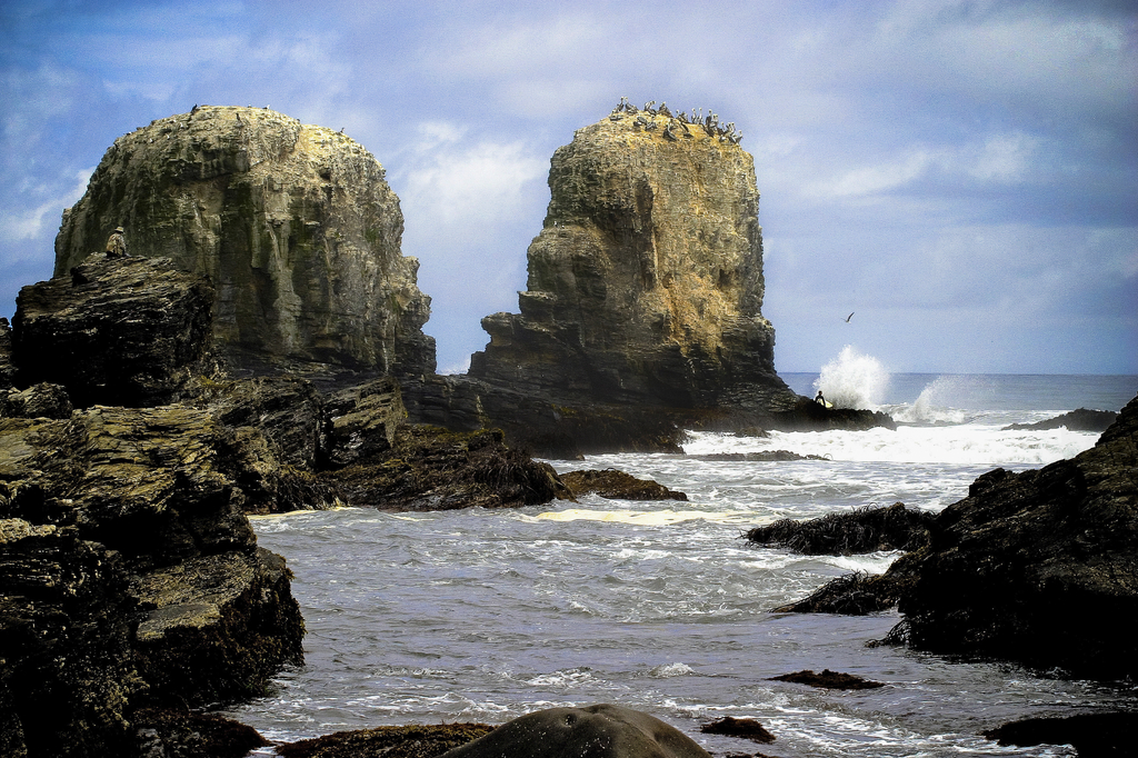 Lais Puzzle - Punta Lobos - Pichilemu - Chile - 2.000 Teile p-275968