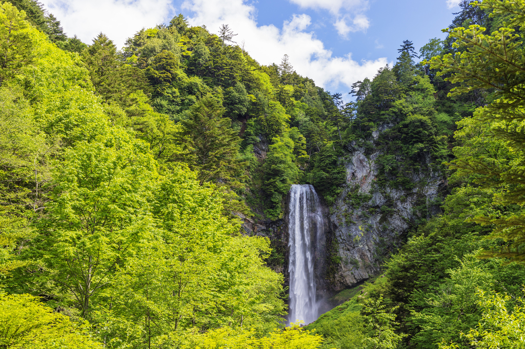 Lais Puzzle - Hirayu Wasserfälle, Gifu, Honshu, Japan - 2.000 Teile p-276088
