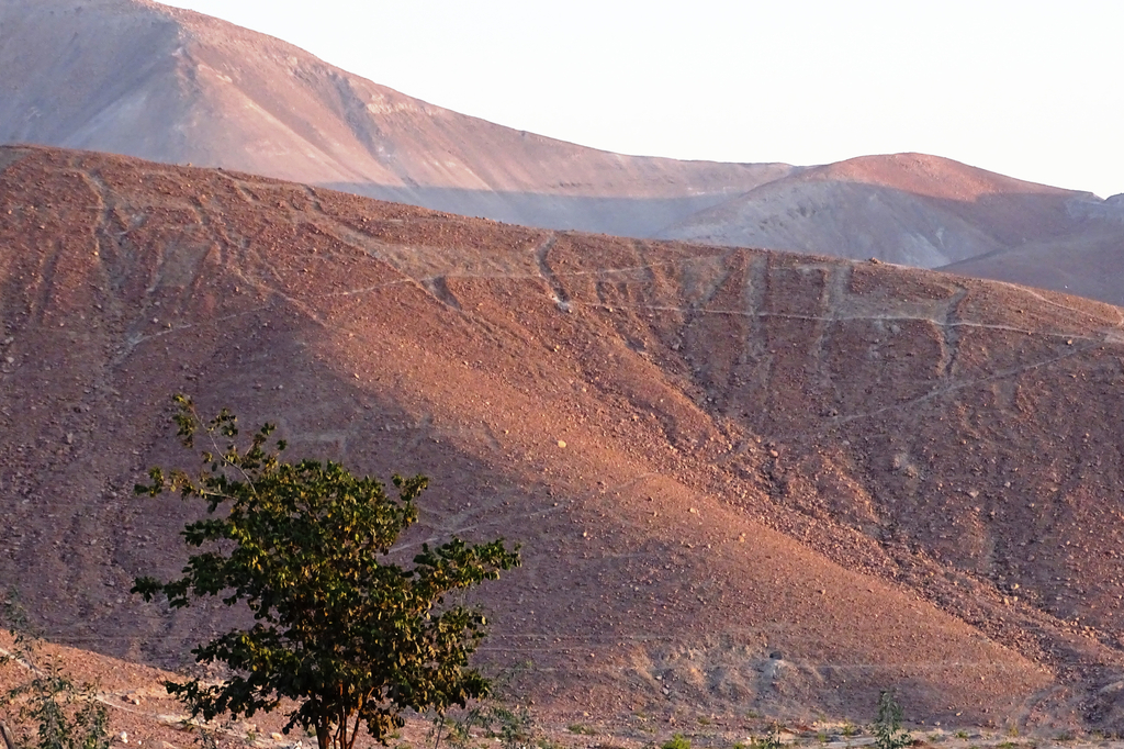 Lais Puzzle - Geoglyphen von Lamas in Chen Chen (Moquegua, Südperu) - 2.000 Teile p-276262