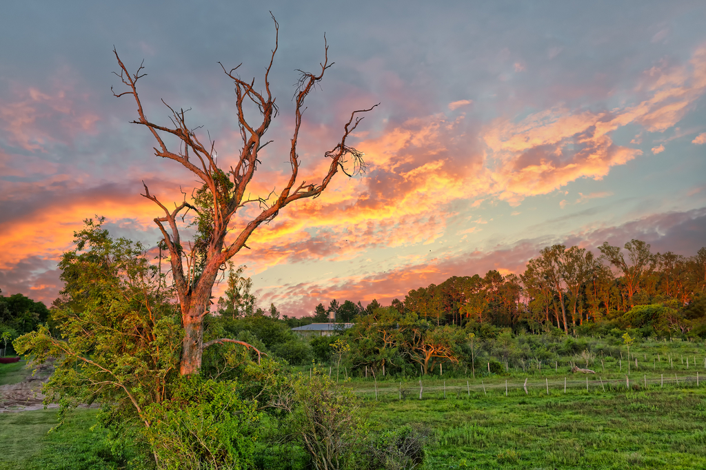Lais Puzzle - Feuchtgebiete im Naturschutzgebiet Nationalpark Esteros del Ibera, Colonia Carlos Pellegrini, Corrientes, Argentinien - 2.000 Teile p-276339