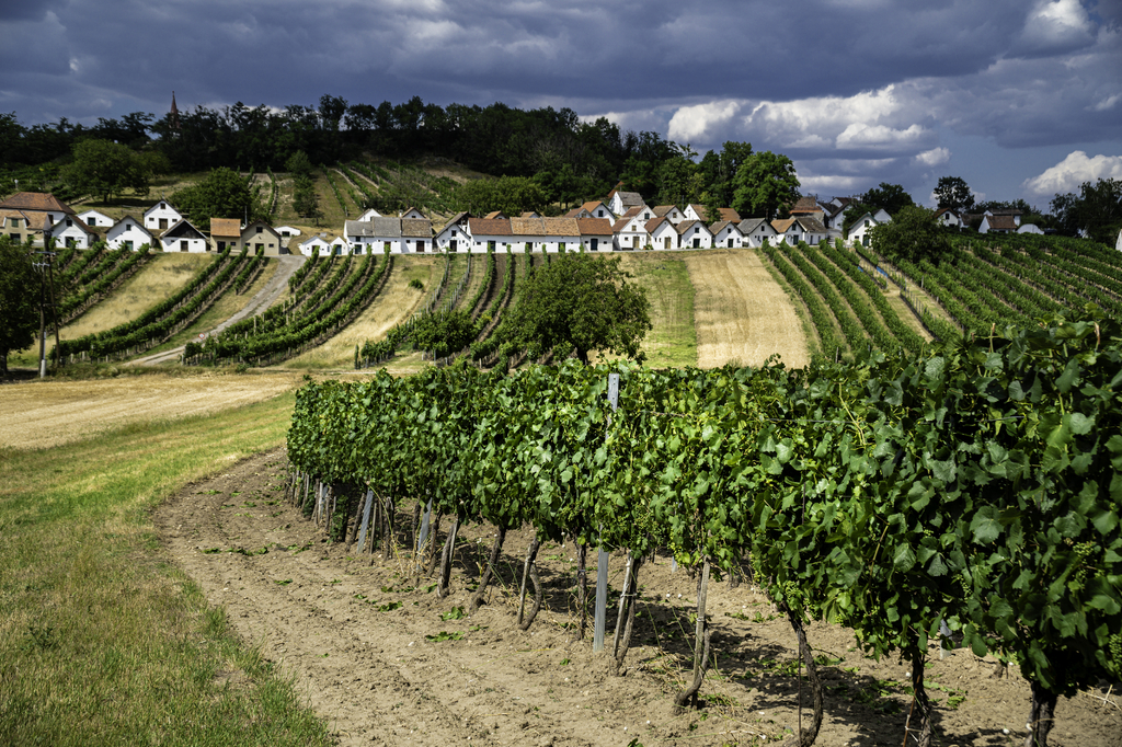 Lais Puzzle - Kellergasse Mistelbach - 2.000 Teile p-276461