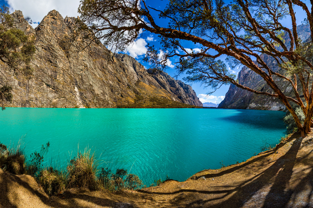 Lais Puzzle - Quenoal-Bäume im Llanganuco-See, in der weißen Bergkette in der Nähe des Huascaran-Berges, in Yungay, Huaraz, Ancash, Peru - 2.000 Teile p-276638