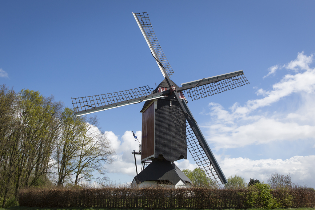 Lais Puzzle - Historische Windmühle in Someren, die Niederlande - 2.000 Teile p-277370