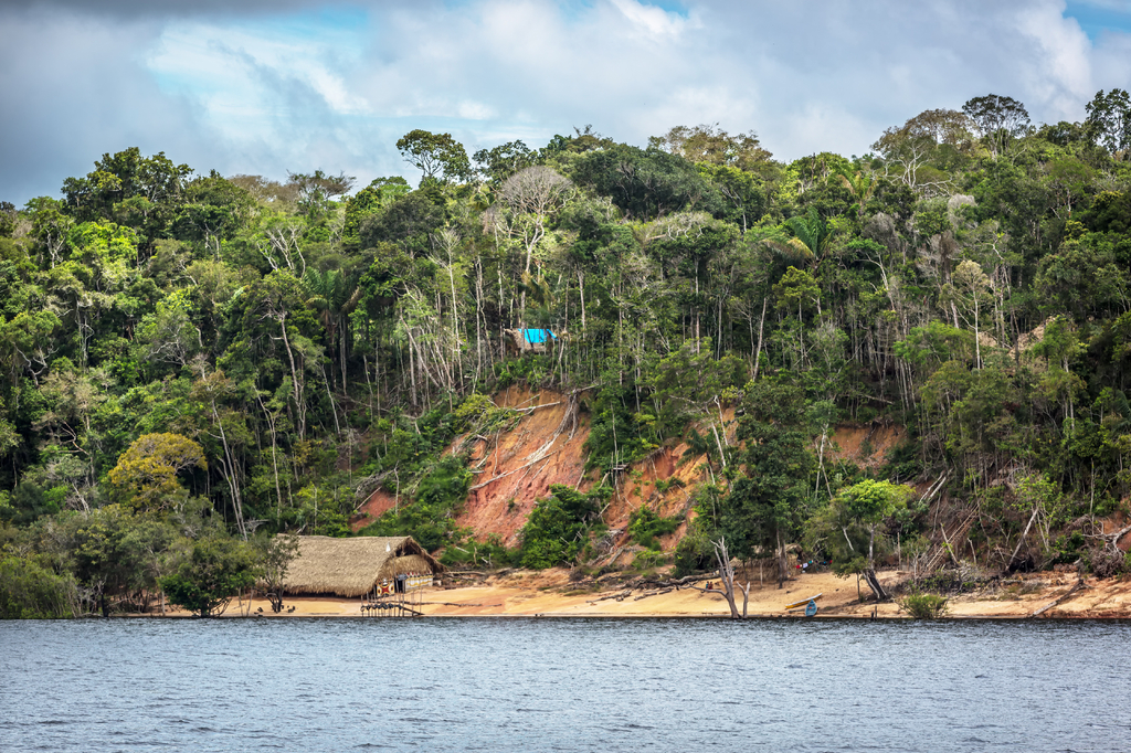 Lais Puzzle - Ein Abholzungsgebiet am Rande des Amazonas mit einem traditionellen indigenen Haus im Bundesstaat Amazonas in Brasilien - 2.000 Teile p-278371