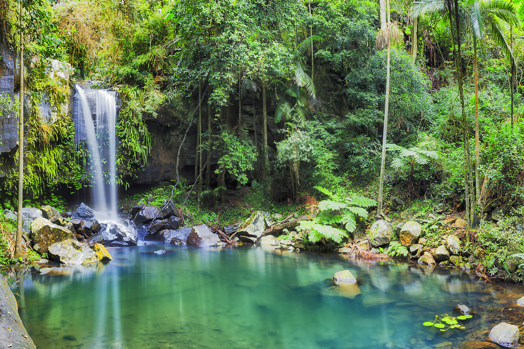 Lais Puzzle - Mount Tamborine, Queensland, Australien - 2.000 Teile p-278391