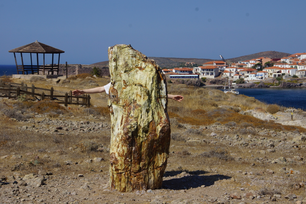 Lais Puzzle - Perifizierte Bäume auf Lesbos, Griechenland - 2.000 Teile p-279838