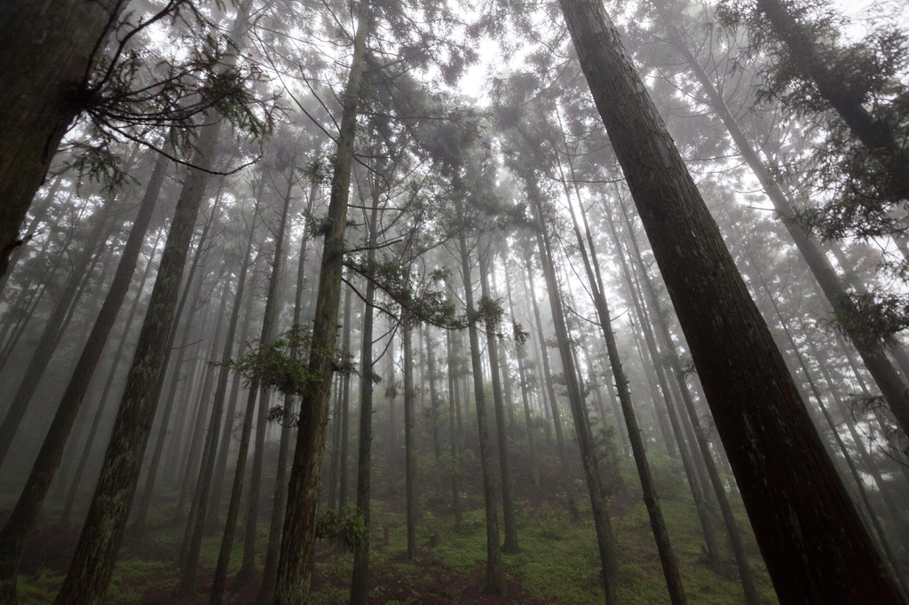 Lais Puzzle - Lushan in Jiujiang Stadt, Jiangxi, China - 2.000 Teile p-280412
