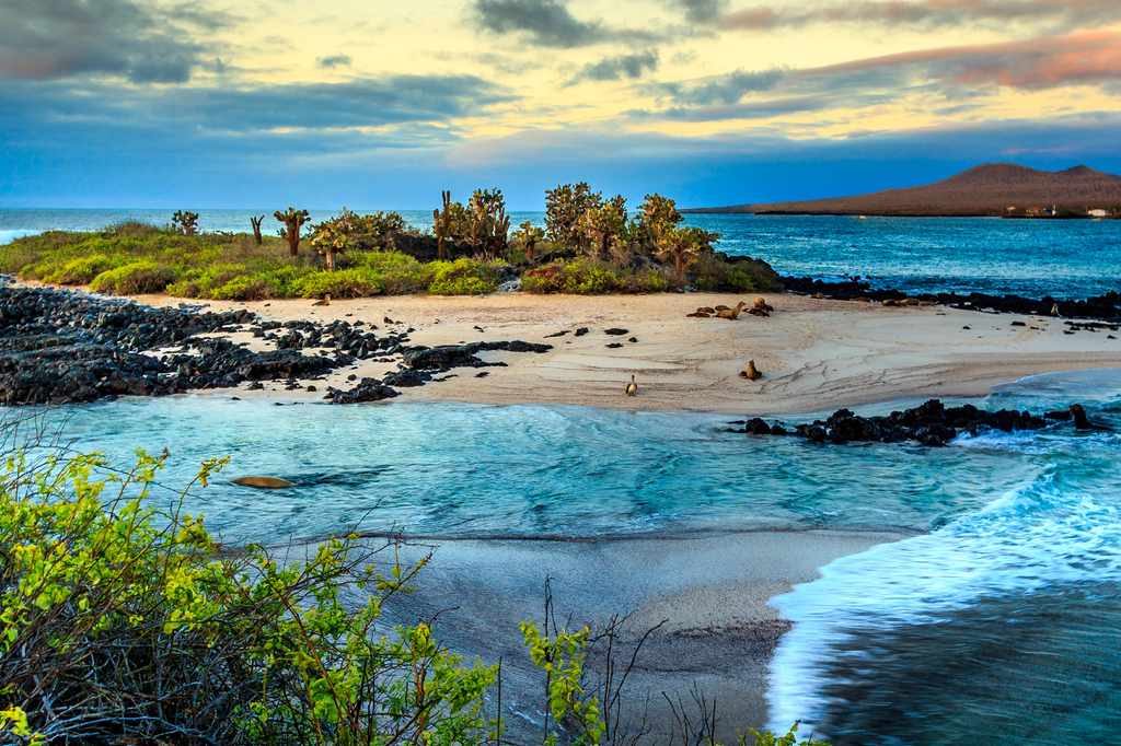 Lais Puzzle - Galapagos-Inseln, Ecuador - 2.000 Teile p-280589