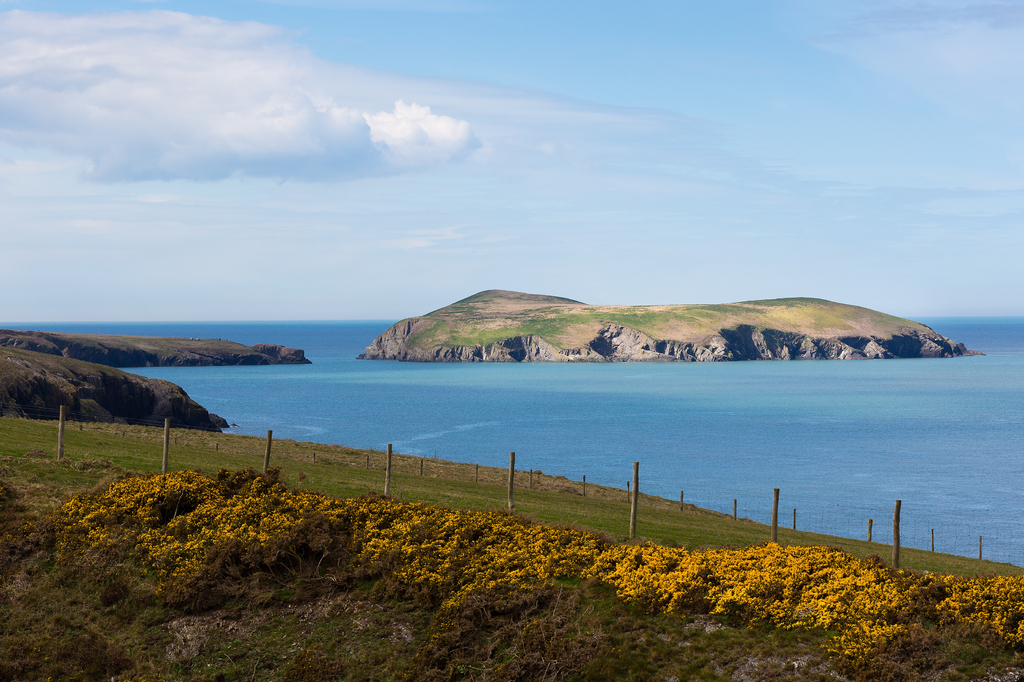 Lais Puzzle - Cardigan Island, Ceredigion, Wales - 2.000 Teile p-280665